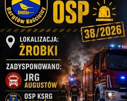 Krowa wpadła do szamba w Żrobkach. Akcja strażaków z OSP Bargłów Kościelny