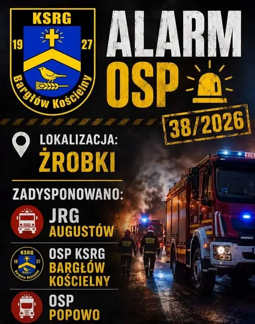 Krowa wpadła do szamba w Żrobkach. Akcja strażaków z OSP Bargłów Kościelny
