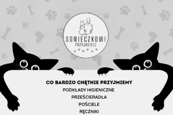 Zbiórka używanej pościeli i ręczników dla bezdomnych zwierząt