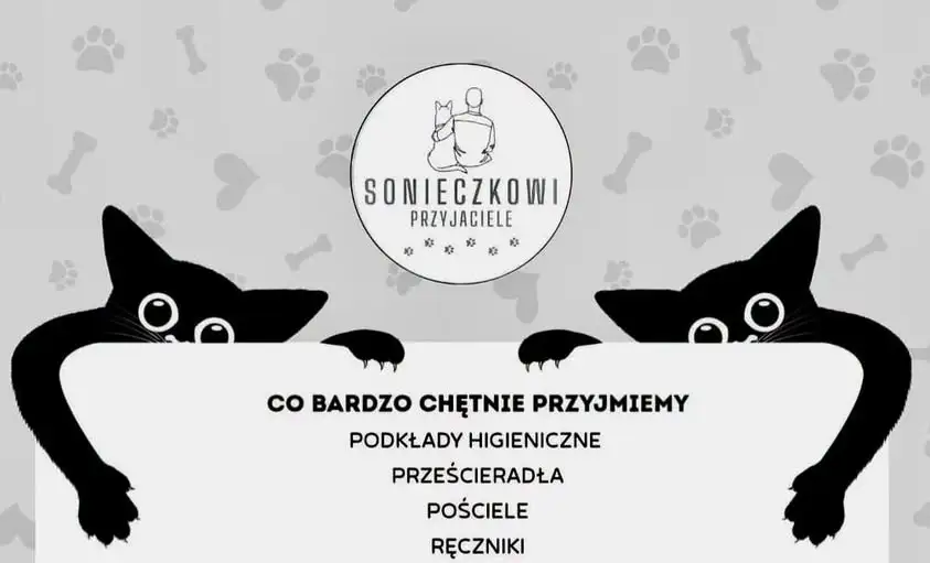Zbiórka używanej pościeli i ręczników dla bezdomnych zwierząt