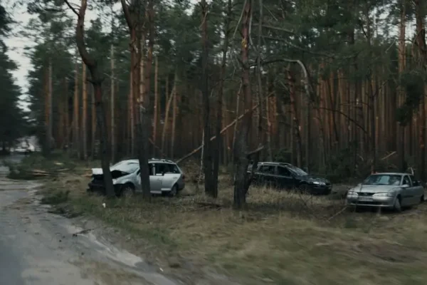 Bakaniuk: auto zderzyło się z łosiem na drodze wojewódzkiej 655