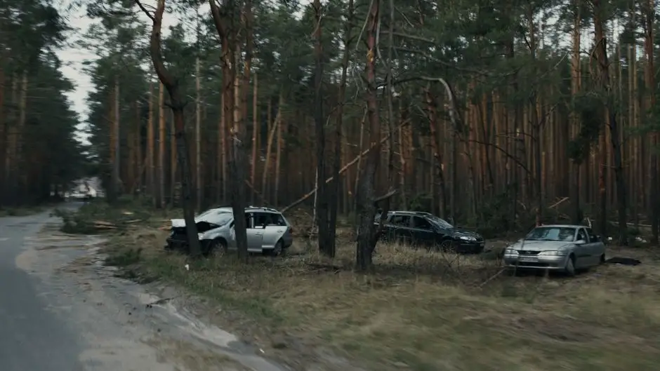 Bakaniuk: auto zderzyło się z łosiem na drodze wojewódzkiej 655